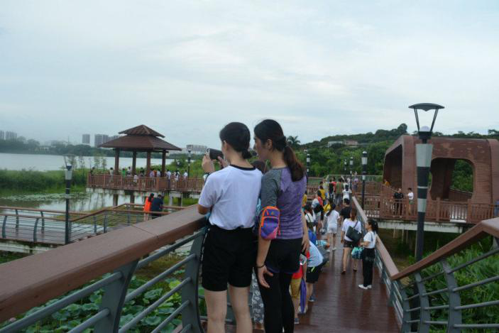 一起在看風(fēng)景 一起在看風(fēng)景