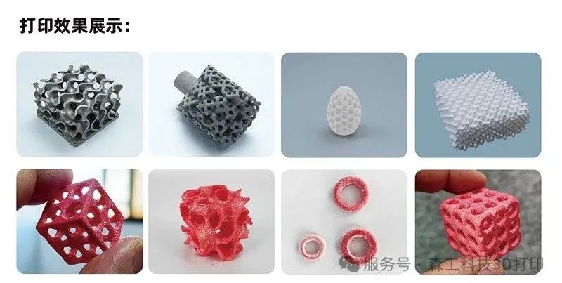 生物3d打印機打印效果